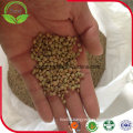 Dry Green Lentils with Good Quality